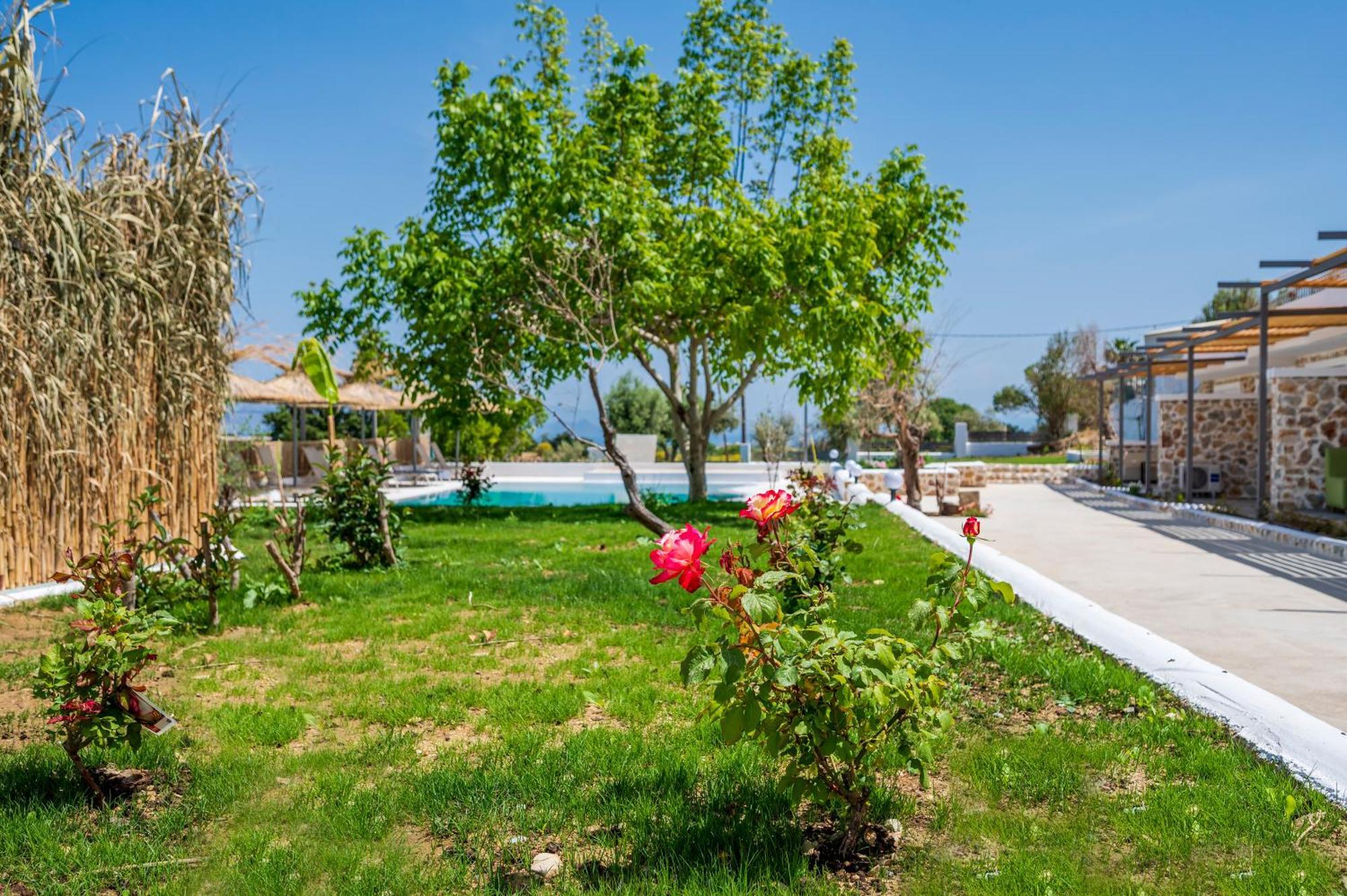 Eva's Paradise Garden, Poolside Cozy Haven in Kos Agios Dimitrios  Buitenkant foto